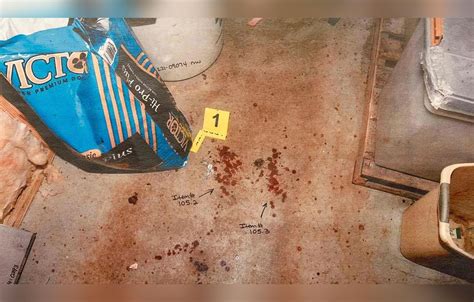 alex murdaugh crime scene photographs|GRAPHIC: Bodycam footage shows crime scene。